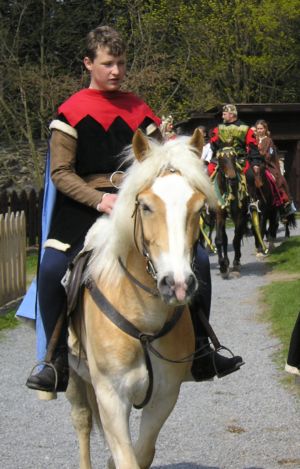 královské páže