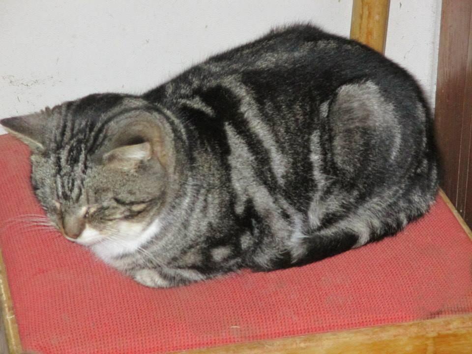 Miky