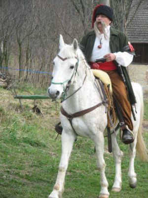 Taras Bulva - George