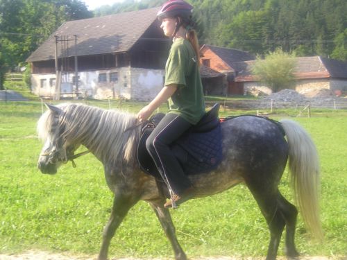 práce na jízdárně