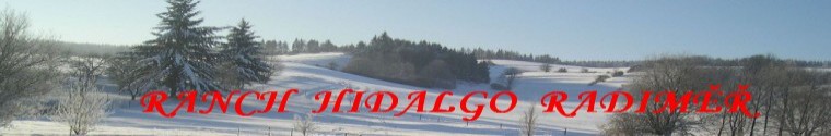 Primary Raster logo
